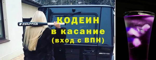 гашик Алексеевка