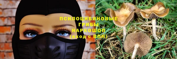 таблы Алзамай
