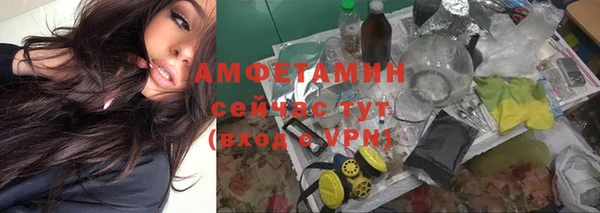 гашик Алексеевка