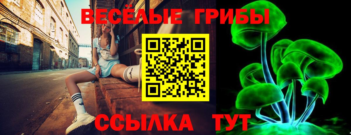 Галлюциногенные грибы мухоморы  Вход с VPN  Богданович 